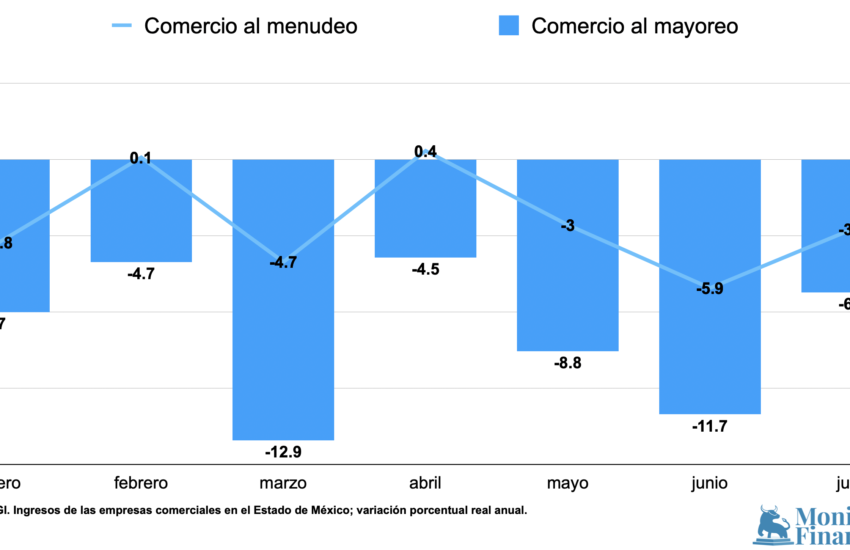 Comercio Edomex Jul24